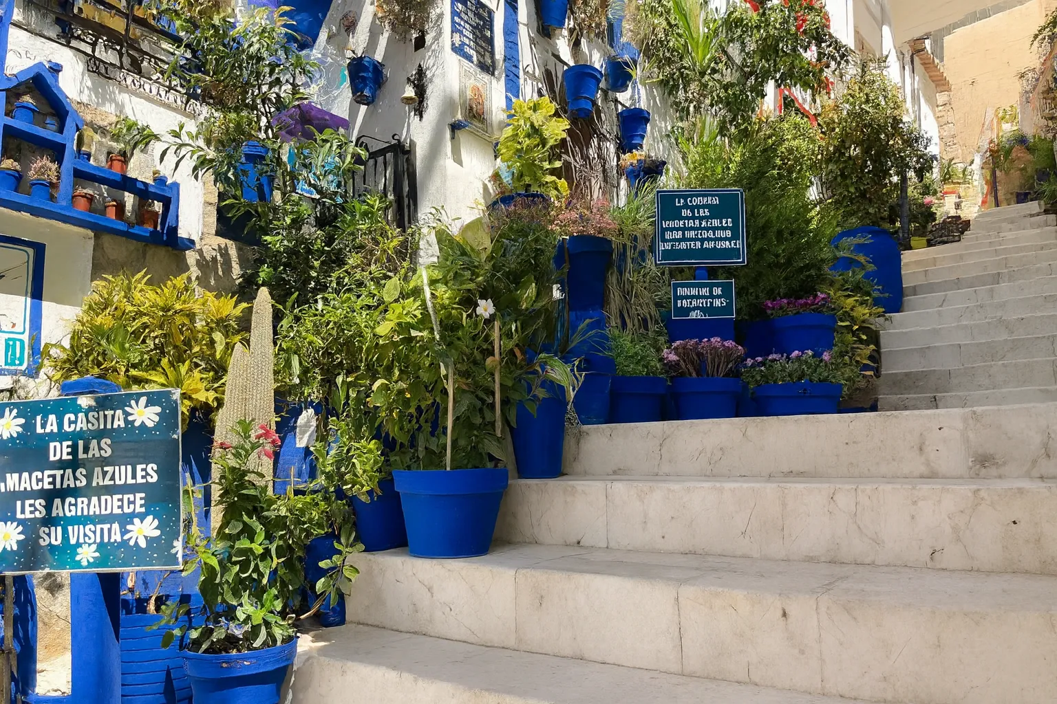 Tapas w jednej z lokalnych restauracji